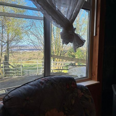 Cozy Room In A Barn With Farm View Dublino Esterno foto