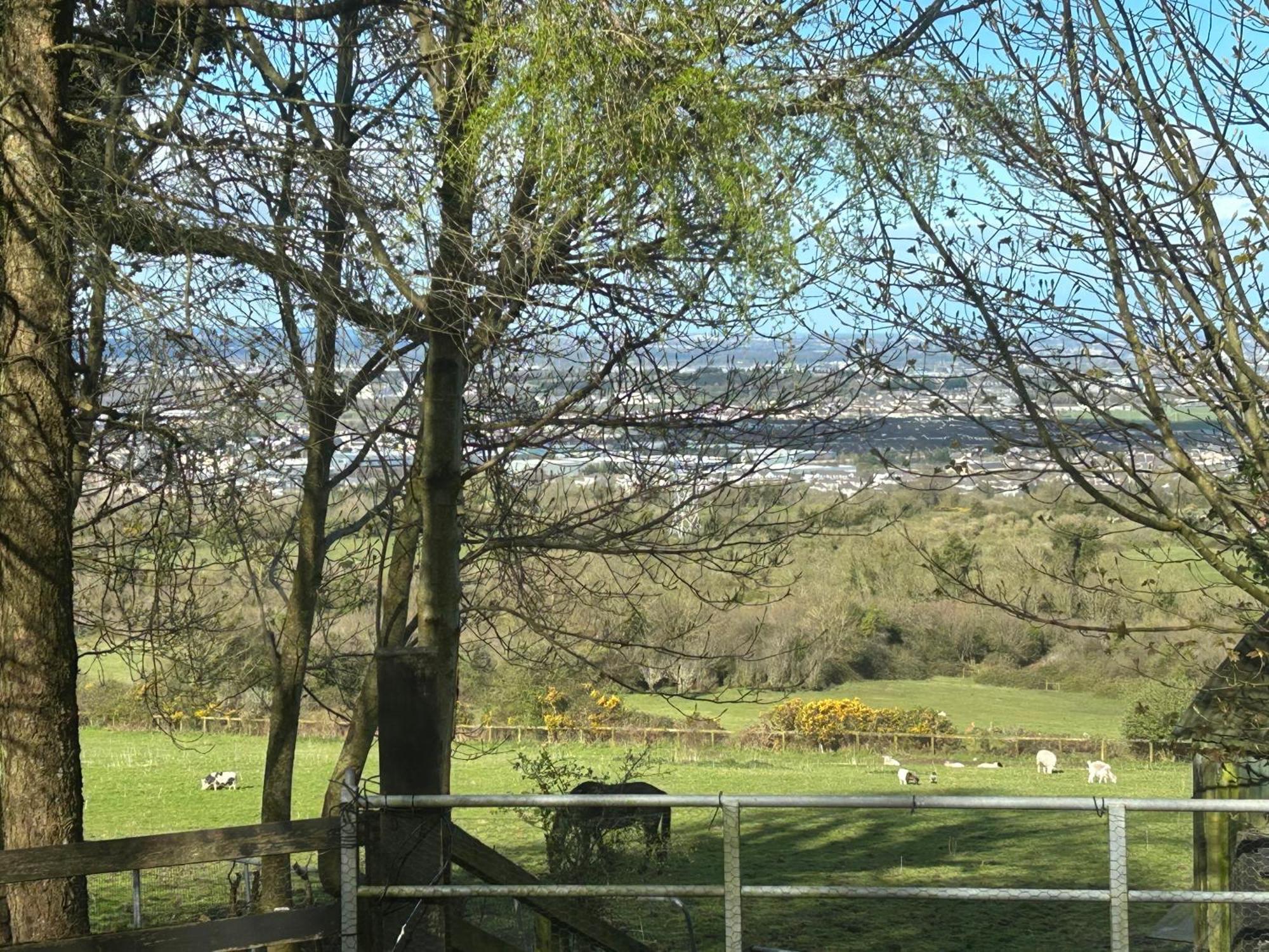 Cozy Room In A Barn With Farm View Dublino Esterno foto